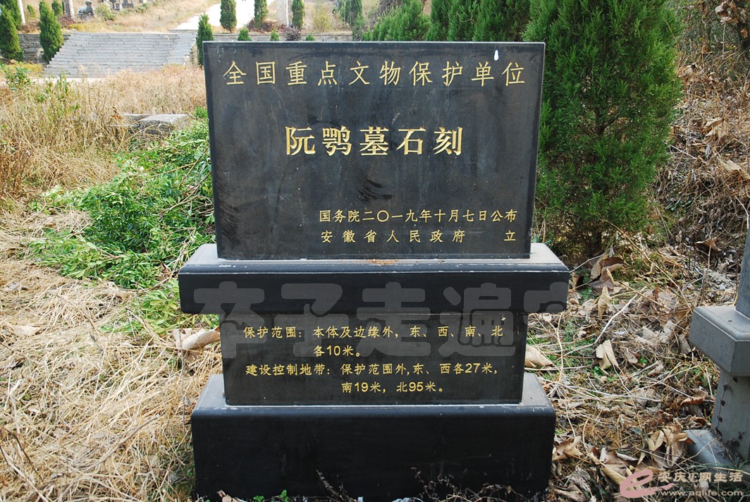 DSC_1287.jpg