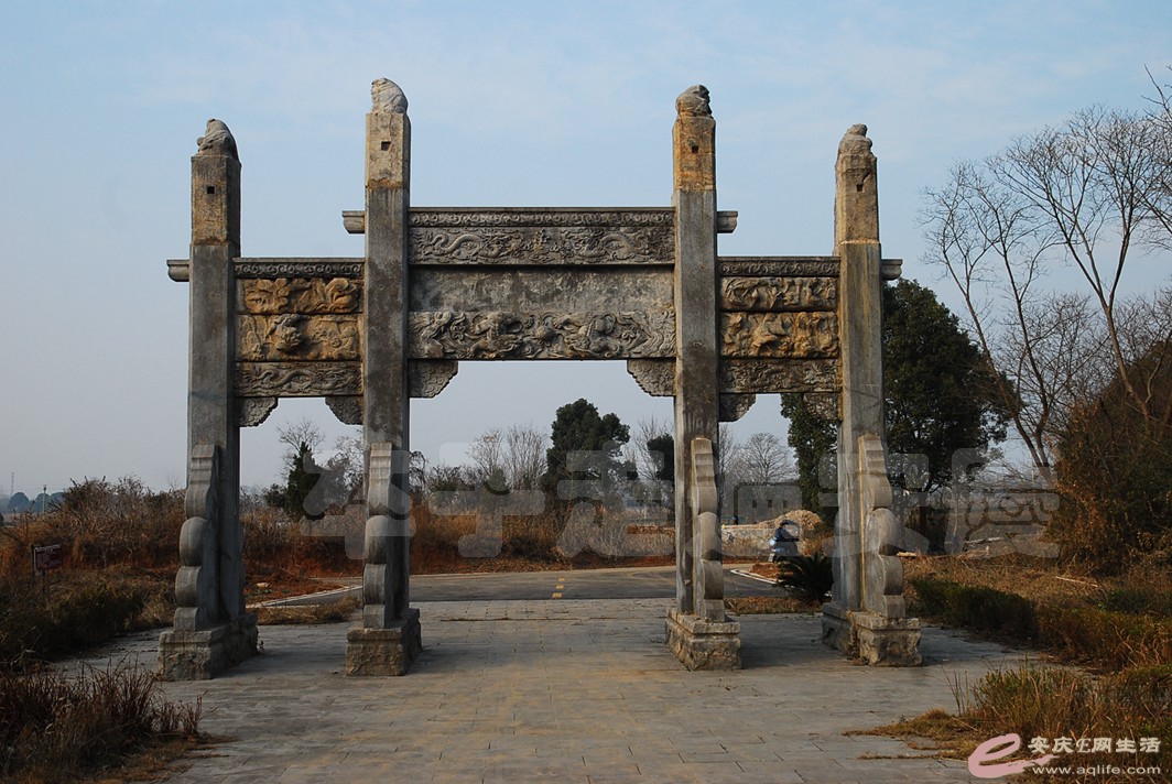 DSC_1307.jpg