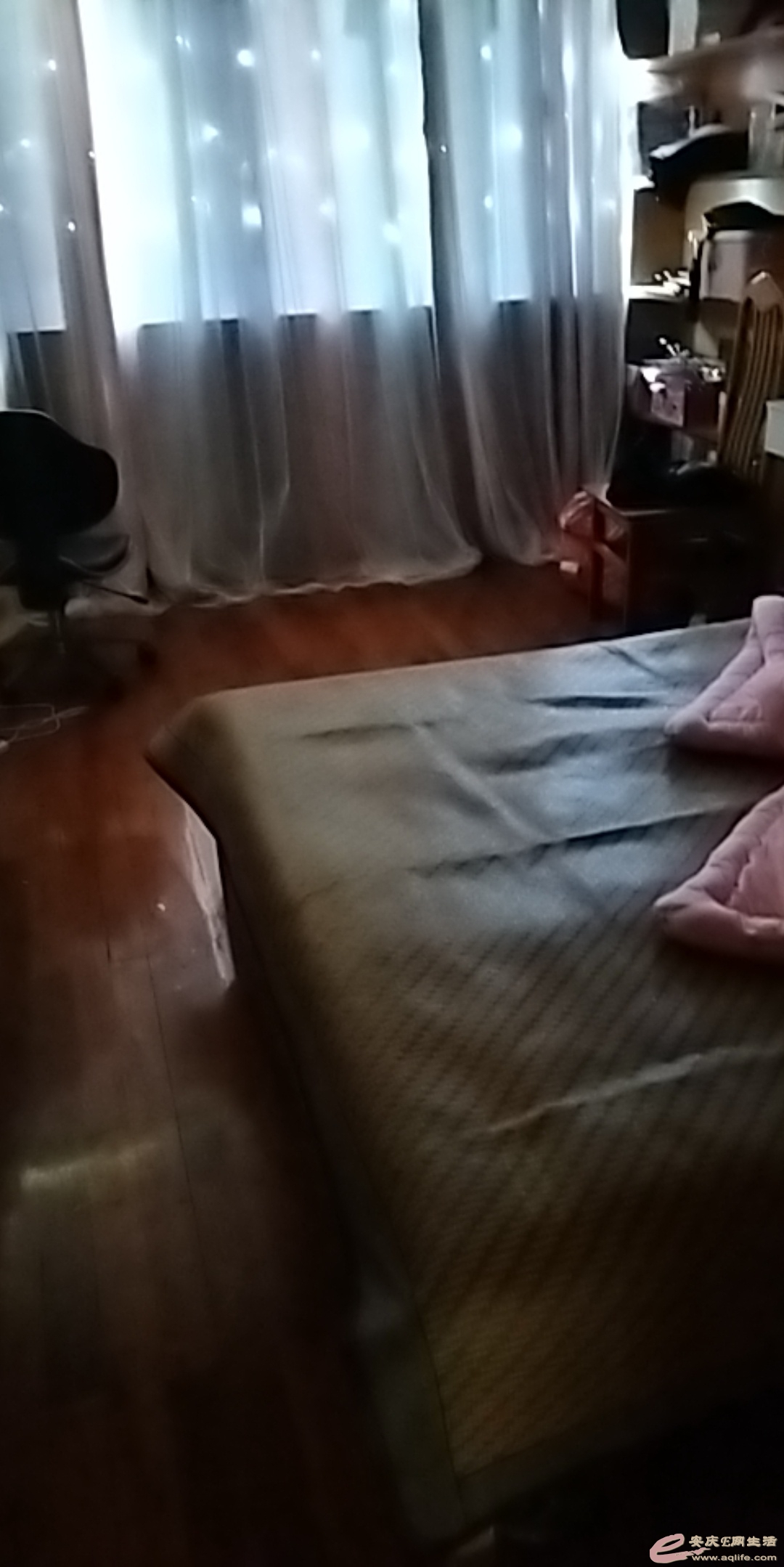 1660434321543271.jpeg