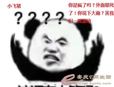 t01e1a4d5c3531c826d.jpg