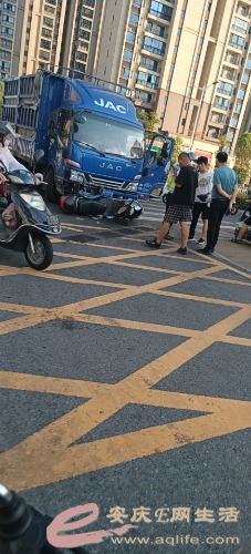 mmexport1660557808752.jpg