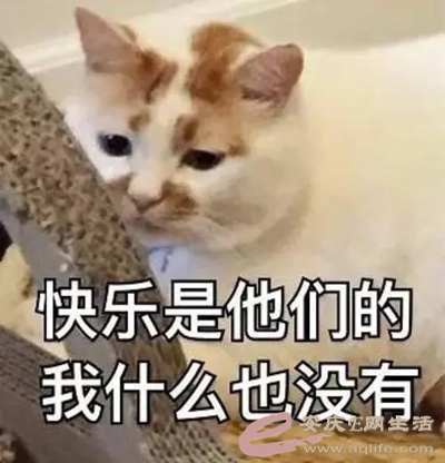 u=1903886806,2943289325&amp;fm=253&amp;fmt=auto&amp;app=138&amp;f=JPEG.webp.jpg