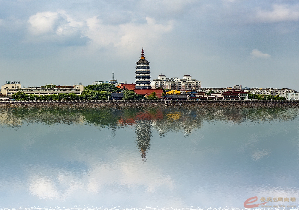 IMG_4544Aa.jpg
