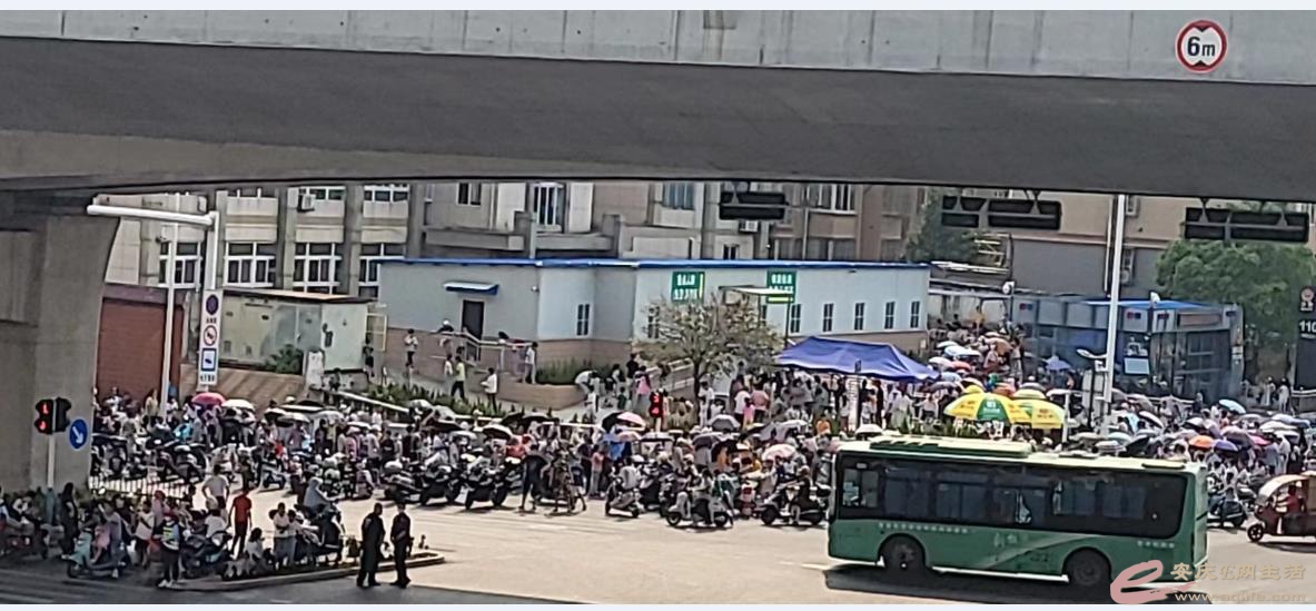 siyuan2.jpg