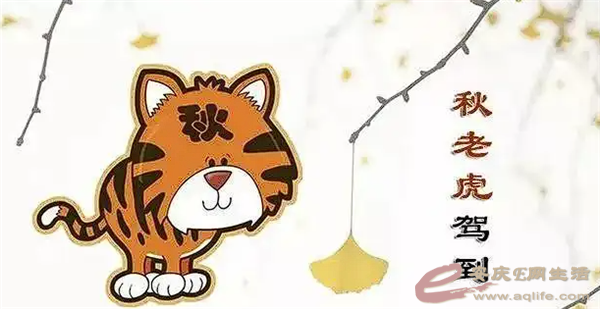 640 (4).png