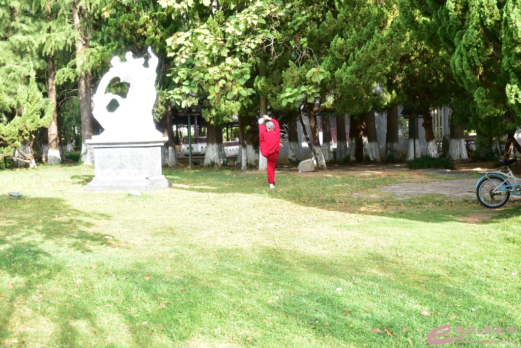 DSC_0113.JPG