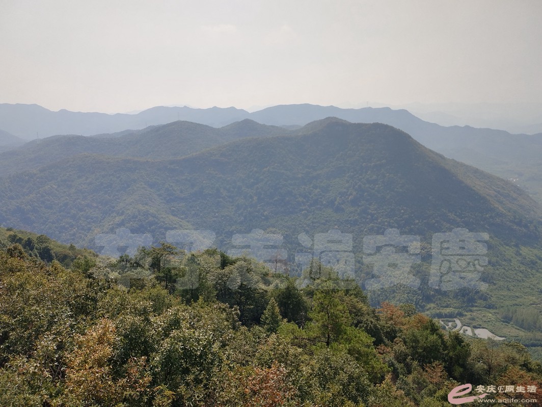 IMG_20220912_094742.jpg