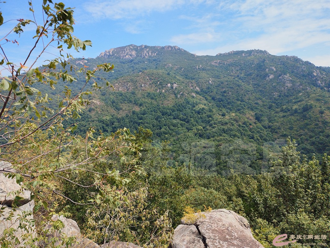 IMG_20220904_111812.jpg