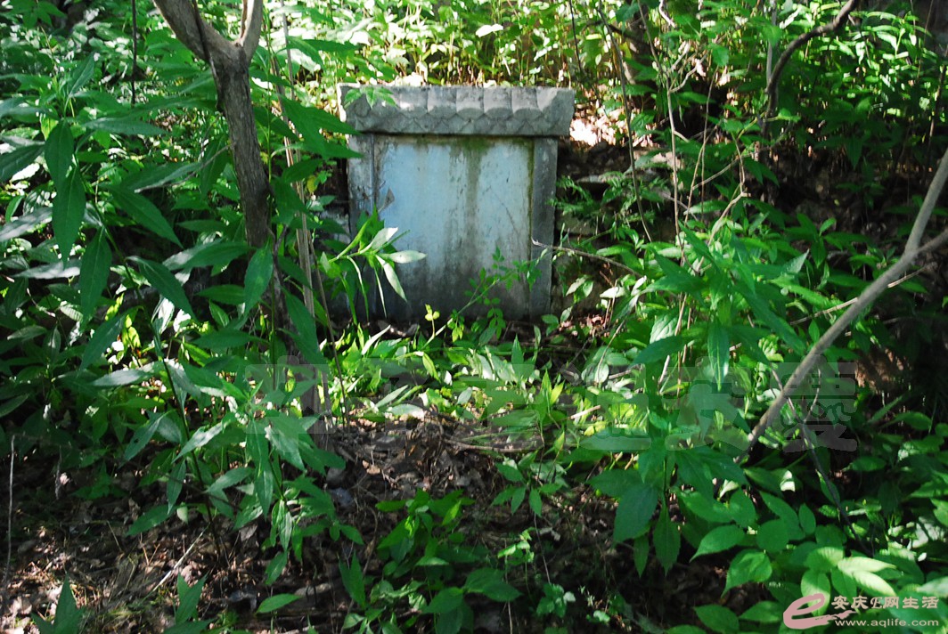 DSC_0645.jpg