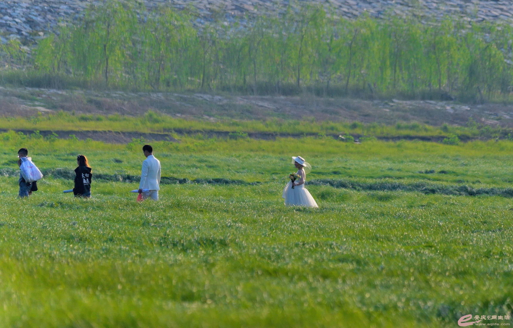 DSC_3089.JPG