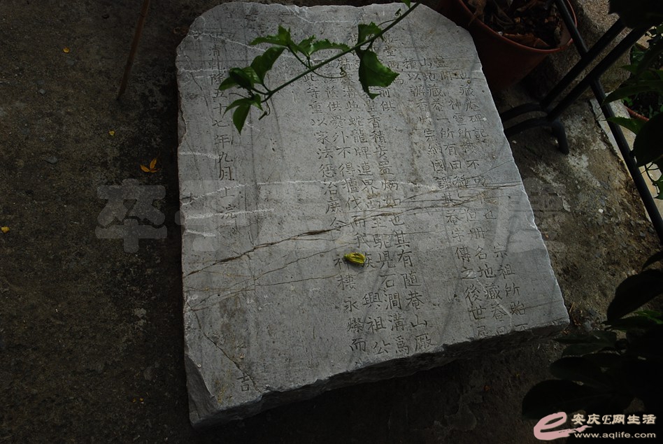 DSC_2040.jpg
