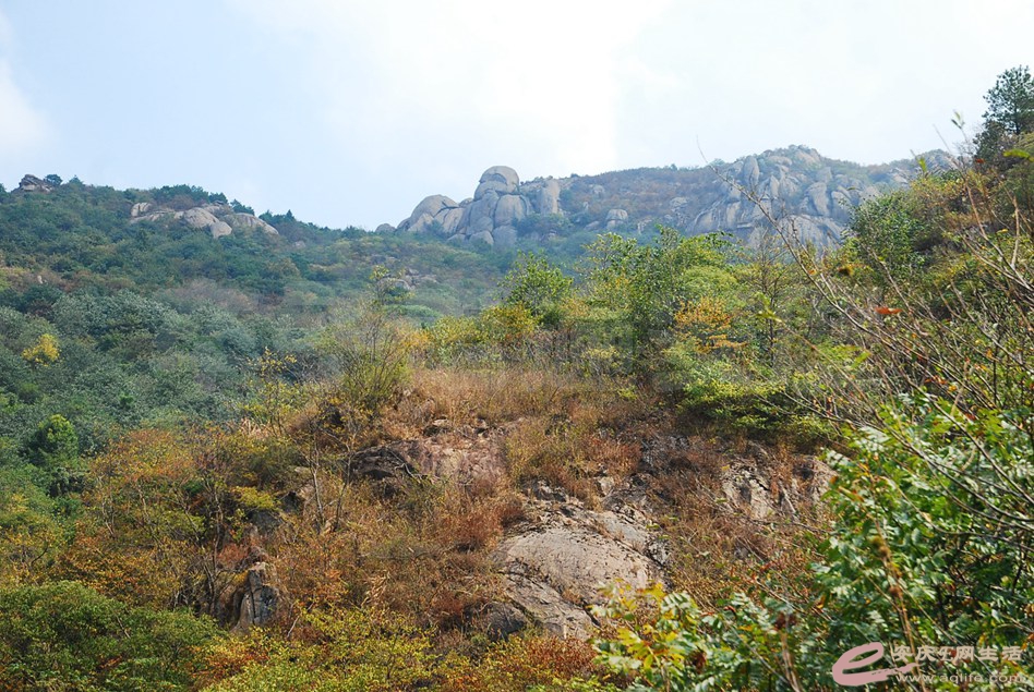 DSC_2056.jpg