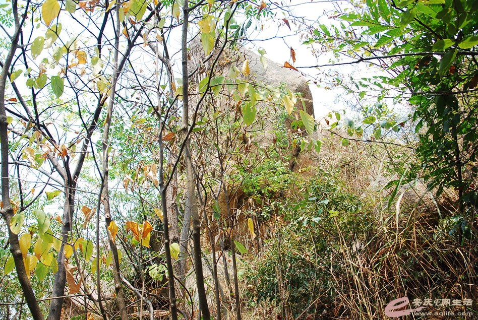 DSC_2086.jpg