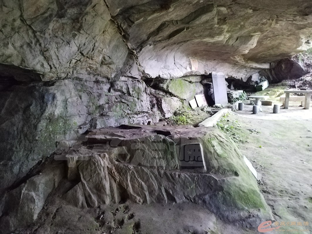 DSC_0283.jpg