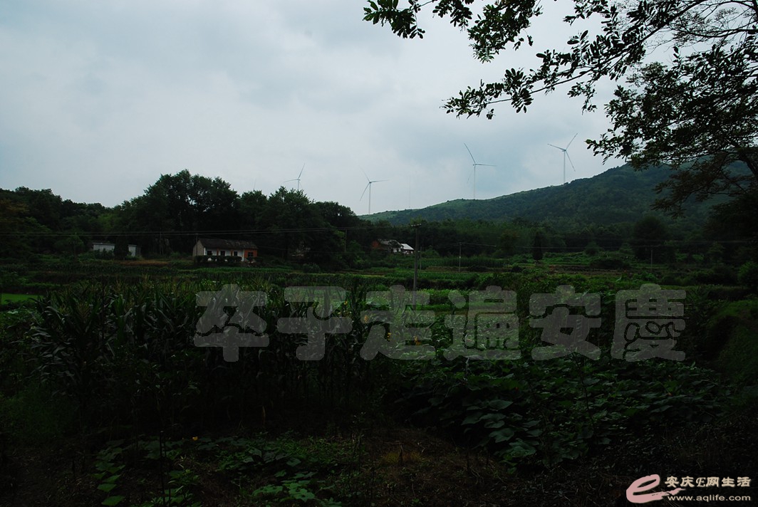 DSC_7503.jpg