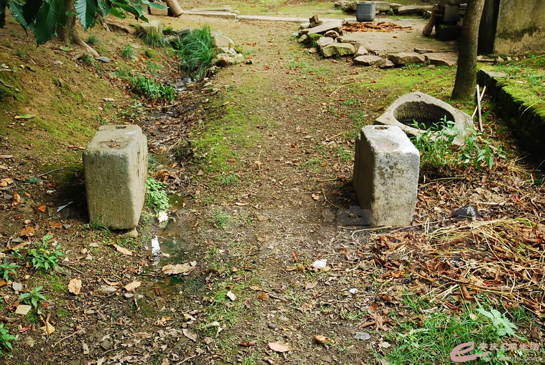 DSC_7504.jpg