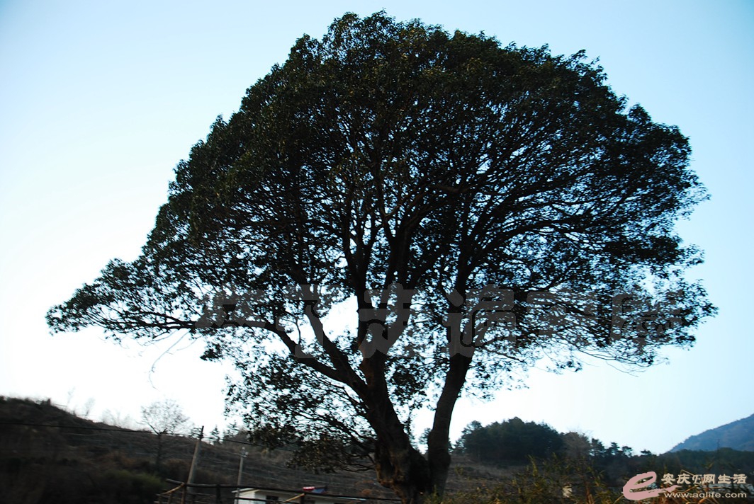 DSC_0122.jpg