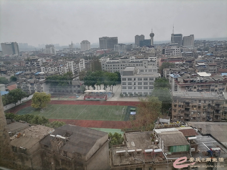 IMG_20220928_110931_.jpg