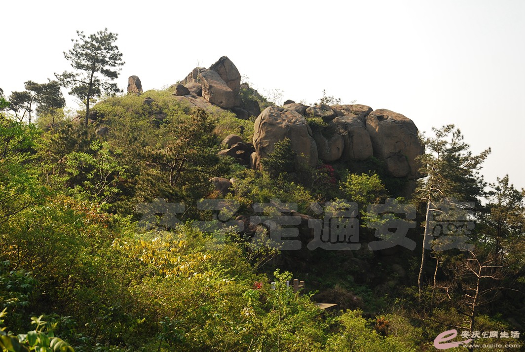 DSC_3321.jpg