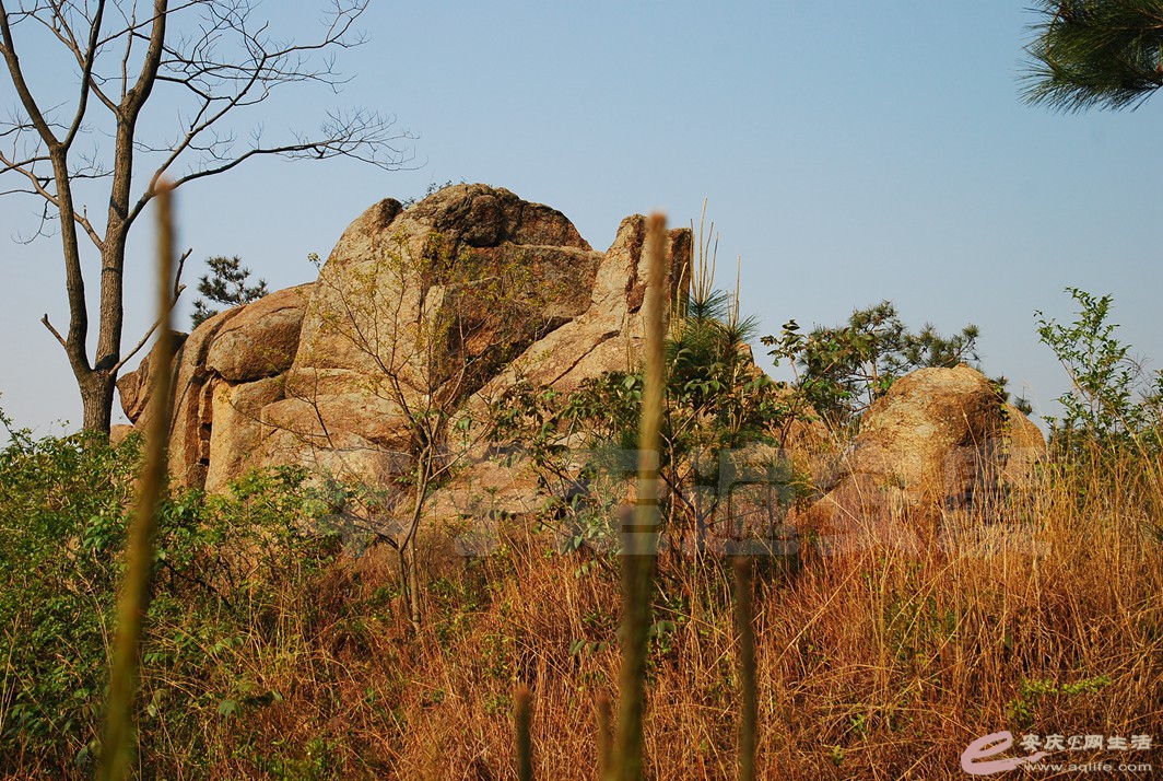 DSC_3324.jpg
