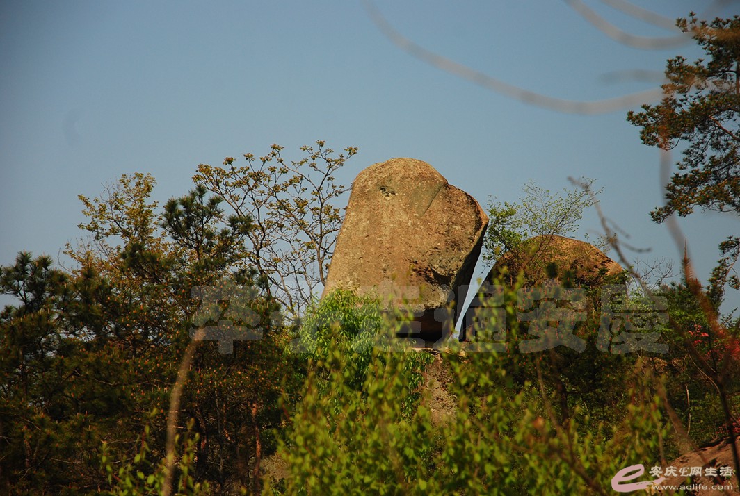 DSC_3337.jpg