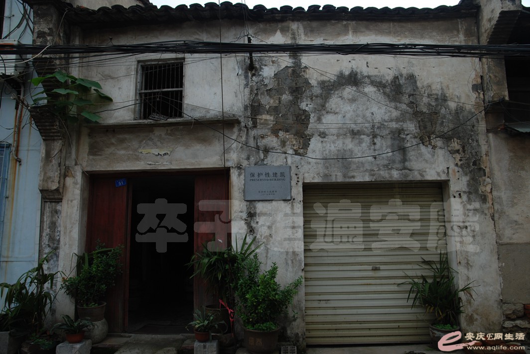 DSC_4165.jpg