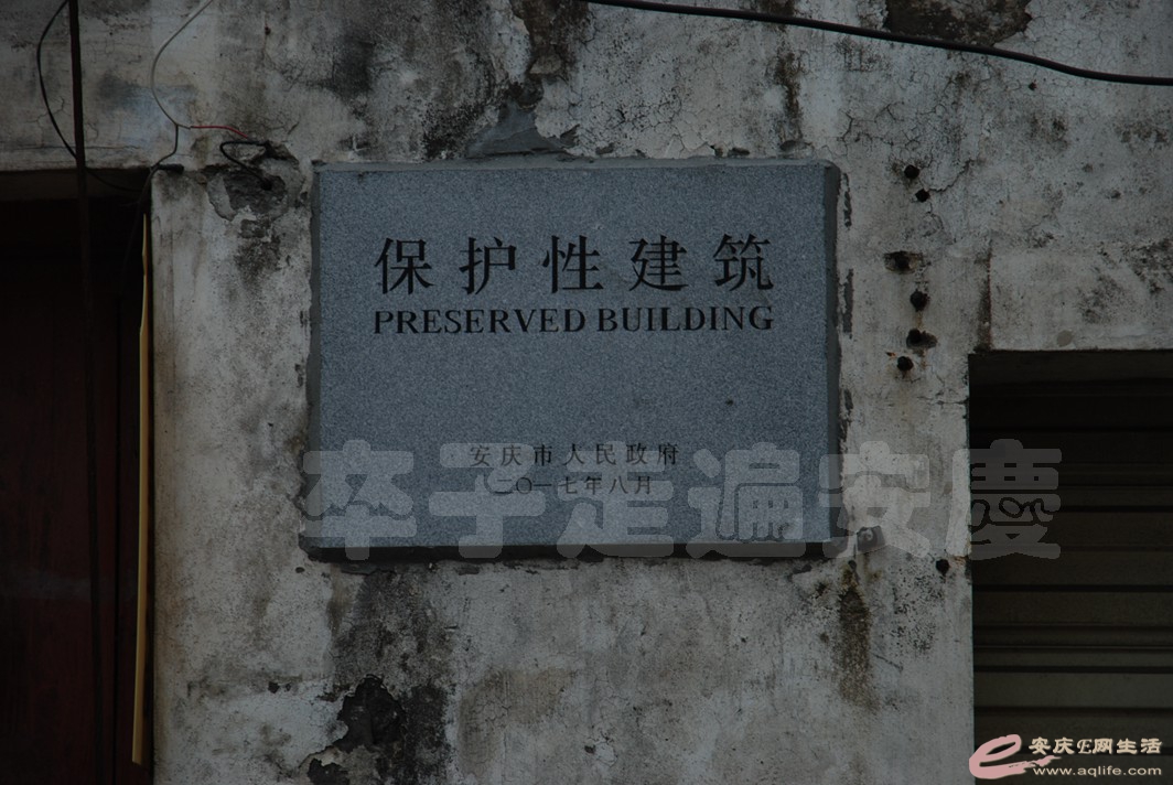 DSC_4168.jpg