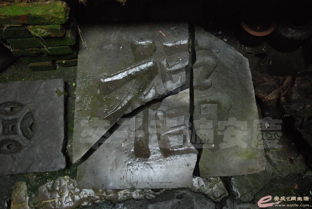 DSC_4222.jpg