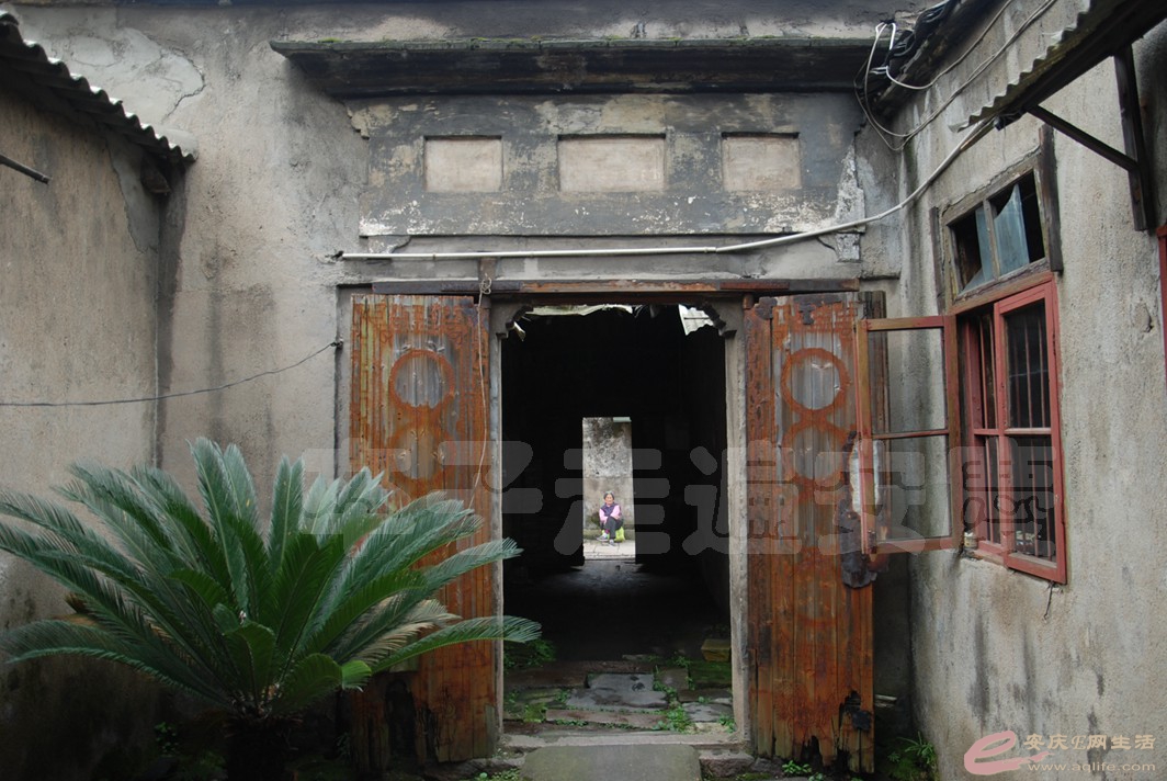 DSC_4277.jpg