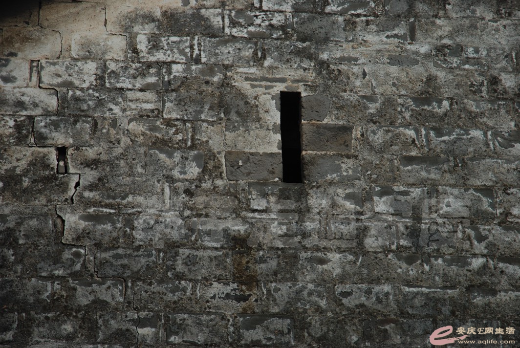 DSC_4287.jpg