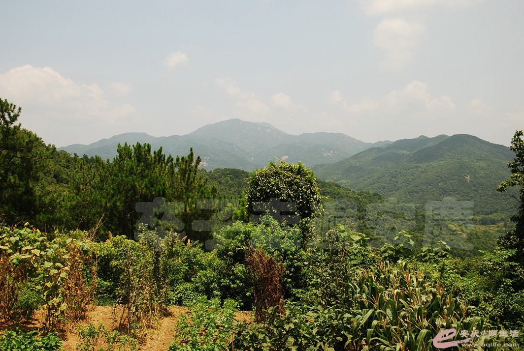 20190714_073421.jpg