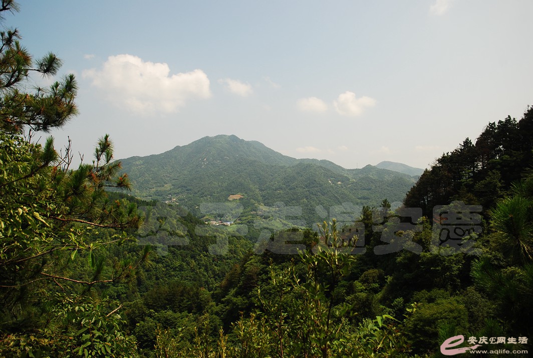 20190714_073428.jpg