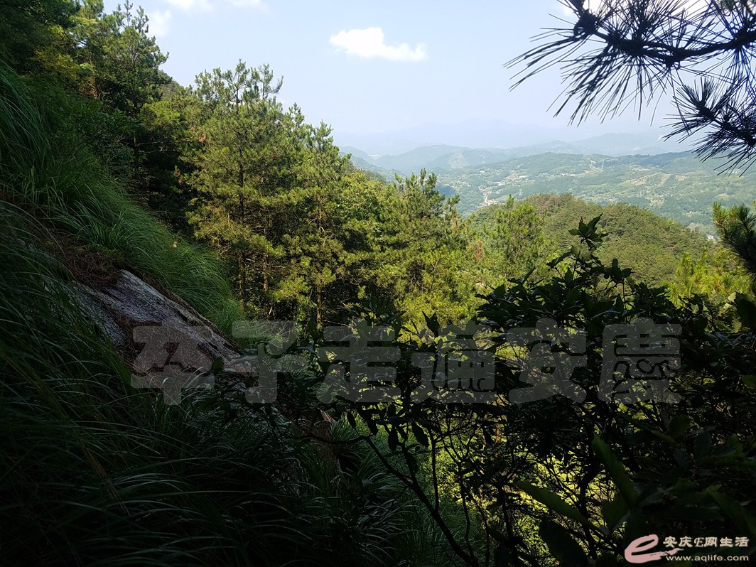 20190714_100419.jpg