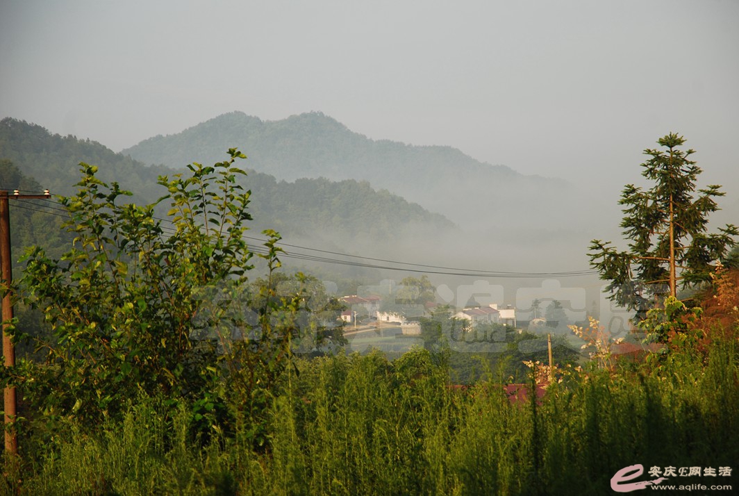 DSC_0040.jpg