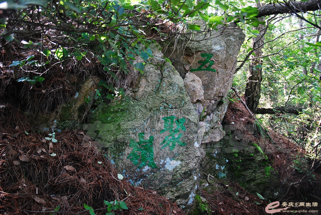 DSC_0068.jpg