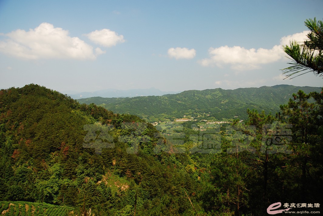 DSC_0079.jpg