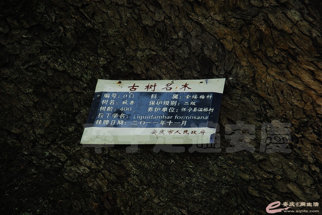 DSC_6979.jpg