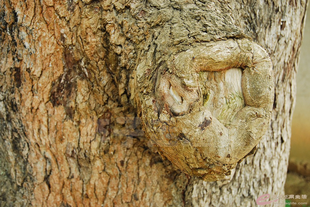 DSC_6982.jpg