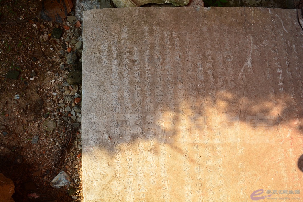 20160723 359.jpg