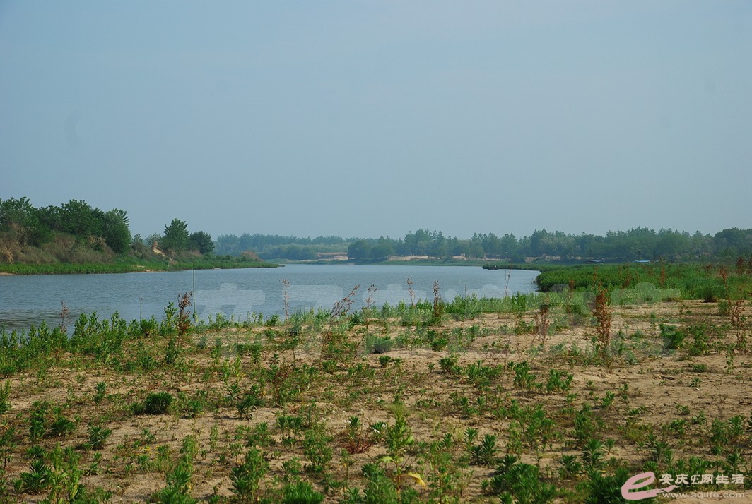 DSC_4218.jpg
