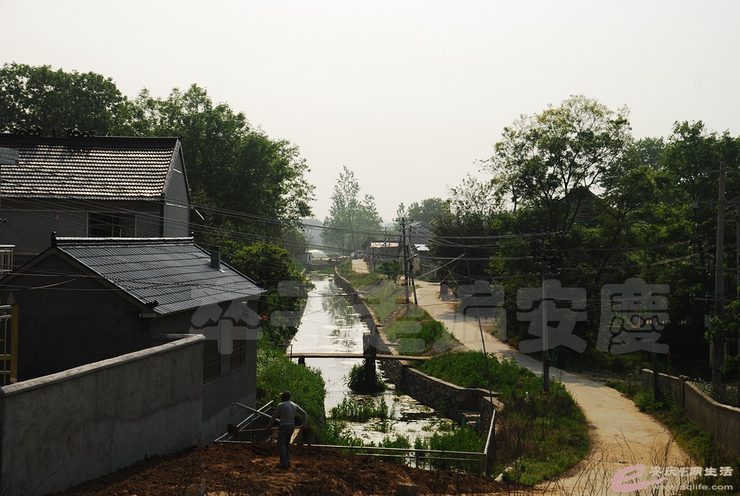 DSC_4303.jpg