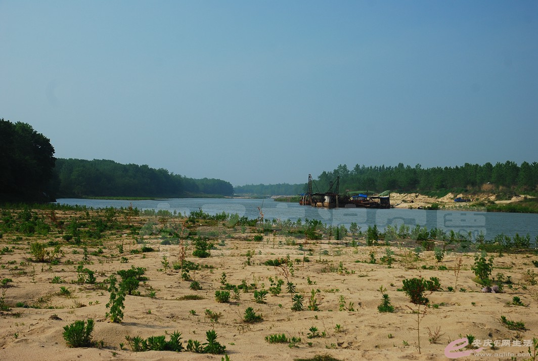 DSC_4316.jpg