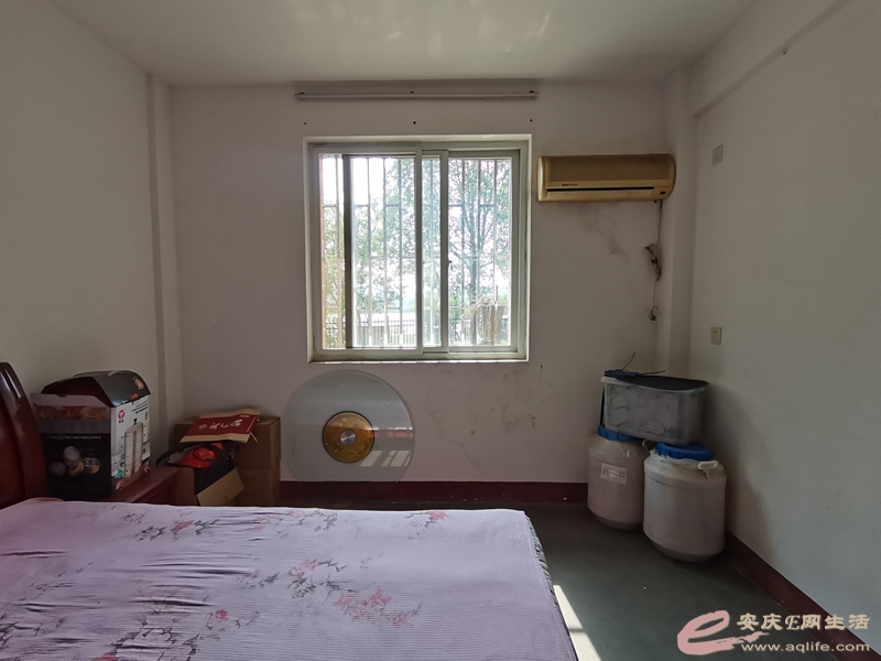 IMG_20221023_114544.jpg