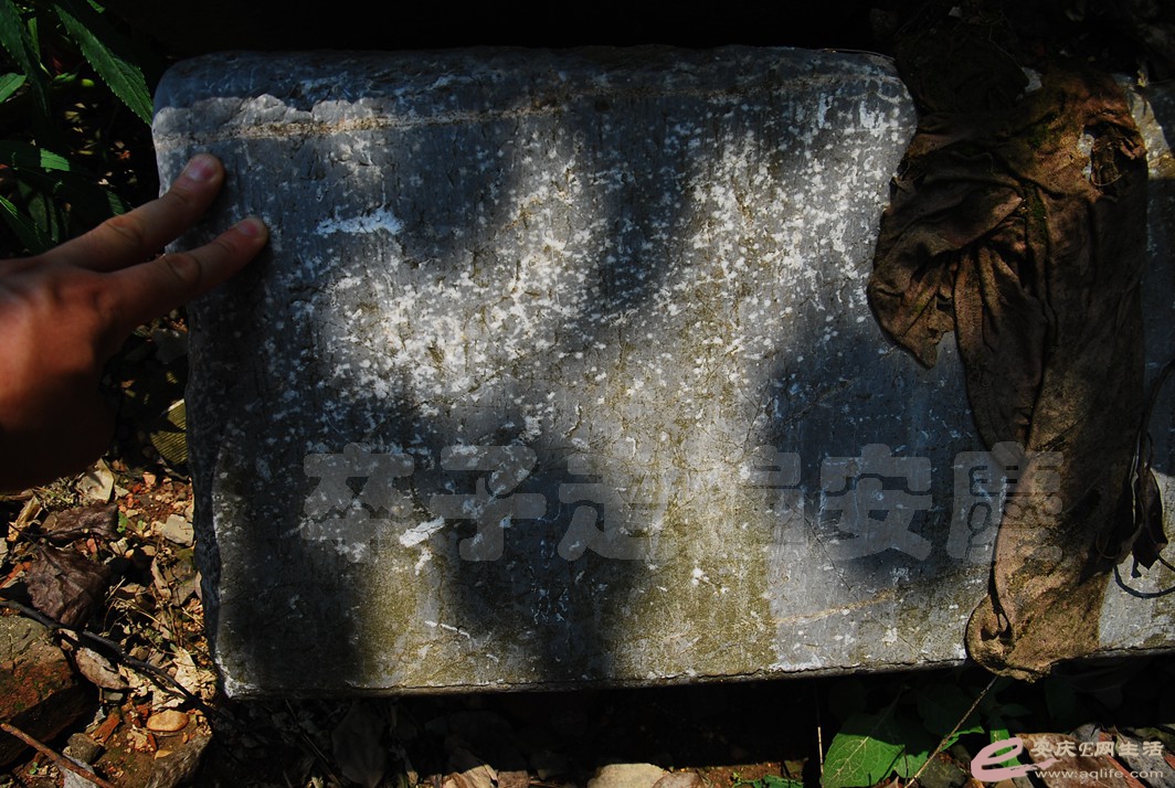 DSC_9455.jpg