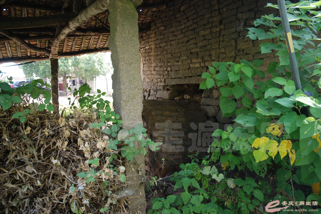DSC_4927.jpg