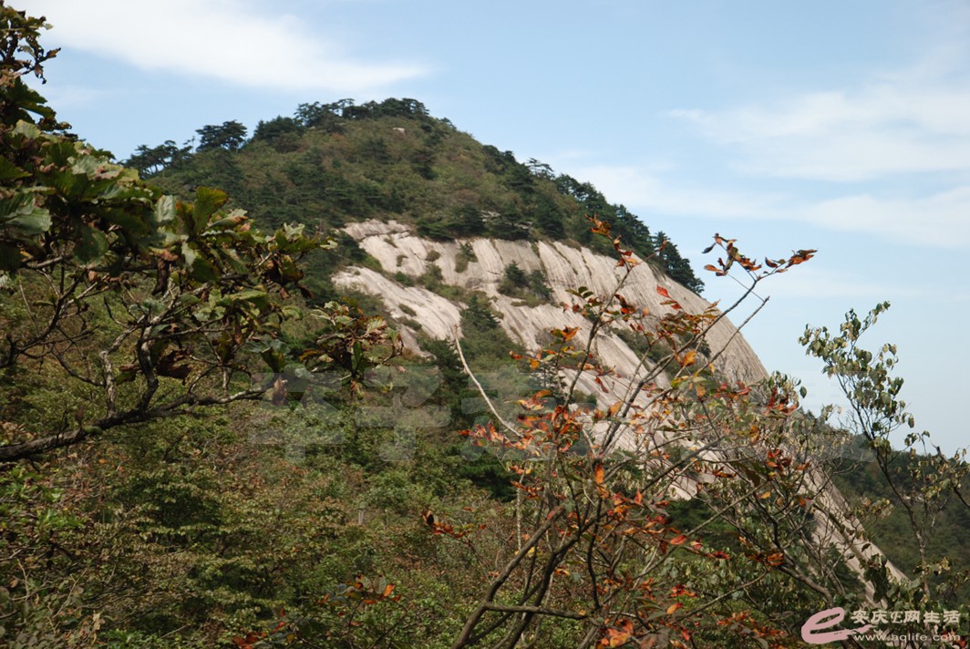 DSC_7594.jpg
