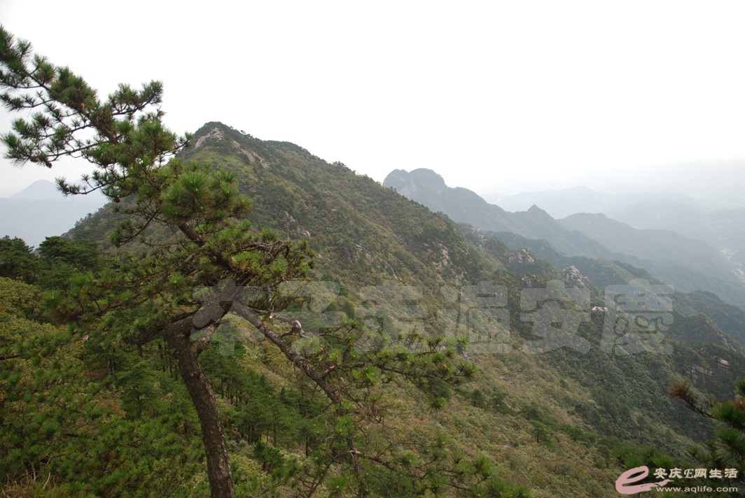 DSC_7830.jpg