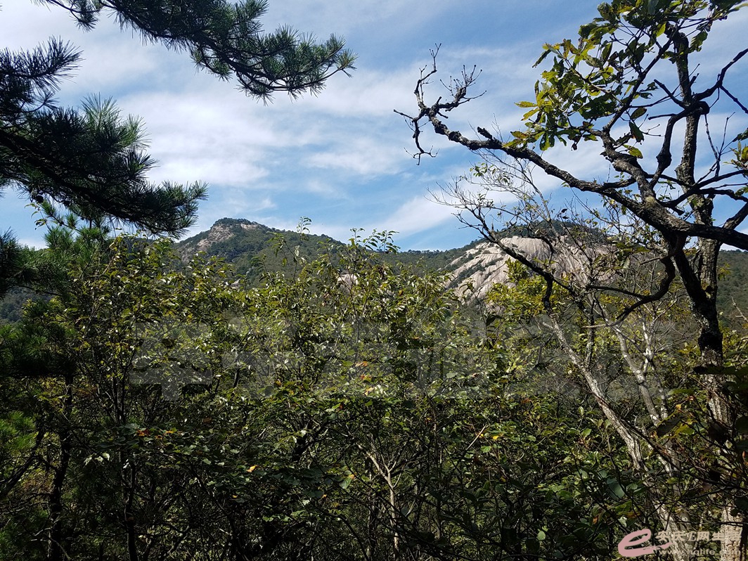 20180923_113755.jpg