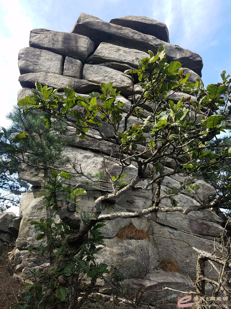 20180923_133834.jpg