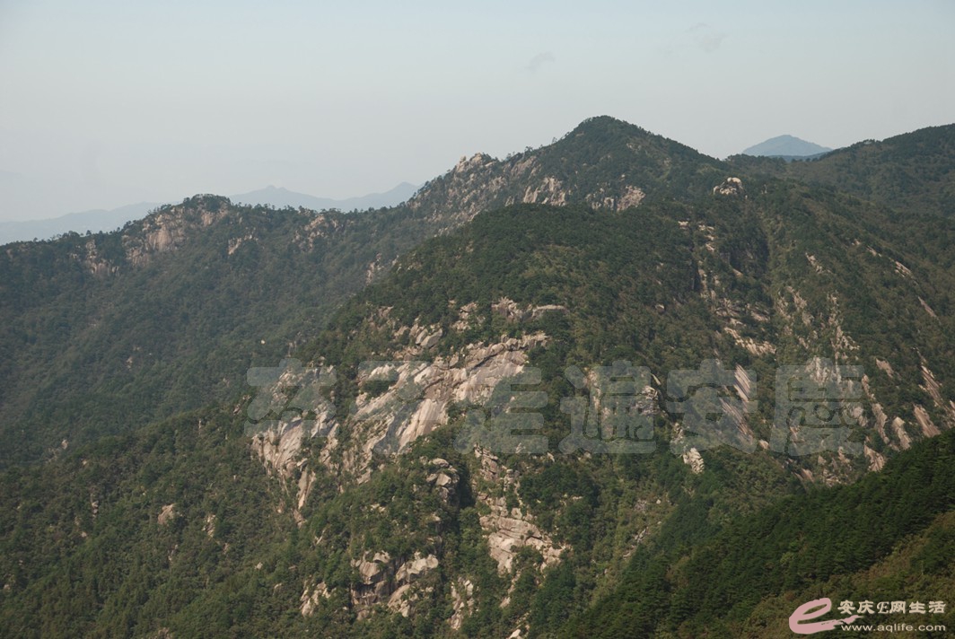 DSC_7670.jpg